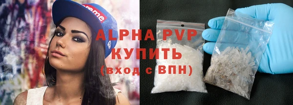 гашик Няндома