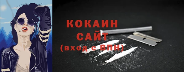 ПСИЛОЦИБИНОВЫЕ ГРИБЫ Новодвинск