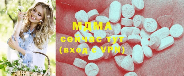 гашик Няндома