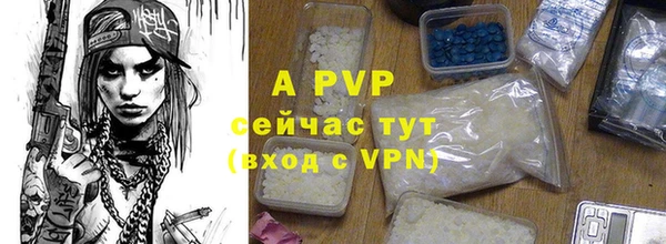 ПСИЛОЦИБИНОВЫЕ ГРИБЫ Новодвинск