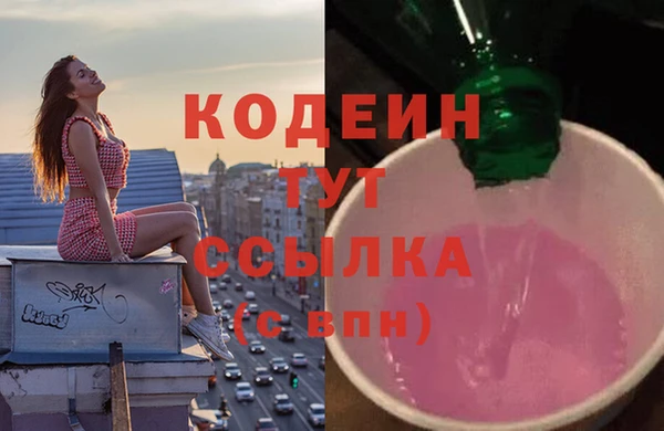 гашик Няндома