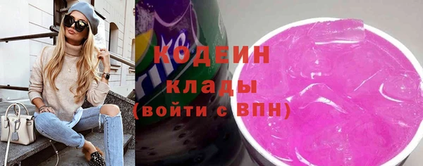 гашик Няндома
