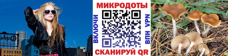купить закладку  darknet Telegram  Галлюциногенные грибы GOLDEN TEACHER  Курлово 