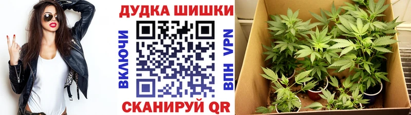 Бошки Шишки Bruce Banner  Курлово 